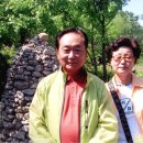 최달순 Daum카페