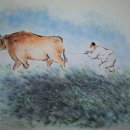 소 이야기 이미지