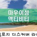 하와이 이미지