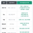 초보자를 위한 여행 스페인어 | 스위스 여행 초보자를 위한 진짜 후기 빙하특급·융프라우요흐까지 전부 포함