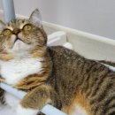 삼척동물병원 이미지