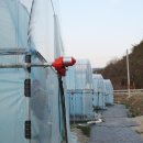 세용농장 이미지