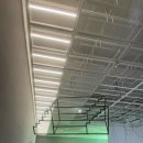 깡철이네 | 언뇽허삽나까