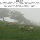 솔 목장 네이버블로그
