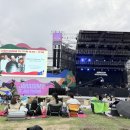 아티스트태봉 | 가평 자라섬 재즈페스티벌 꿀팁후기🎶 준비물·가성비숙소추천·데이트코스·얼리버드티켓 총정리