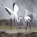 상업용 5 이미지