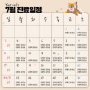 유어캣 고양이병원 이미지