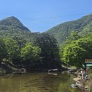신월천 | 충청북도 괴산군 청천면 사담리 사담계곡숲