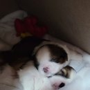 북수원카페 공인중개사사무소 이미지