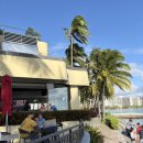 미도골프(160) | 하와이8박9일 day4, 아침 골프, 와이키키 자유시간, 긴자원, 와이키키 밤산책, 와이키키 ABC마트