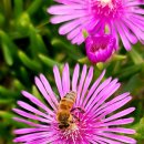 개화마을회관 이미지