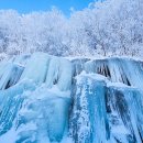 버스정류장 06-202 이미지