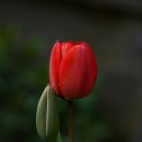 회만당 | 223.성리학(性理學)