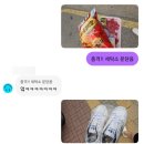 정치06 | 2026년 06월의 슈룹 (초반)