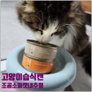 고양이습식캔 - 조공소피캣 내추럴 닭, 참치&amp;닭, 참치&amp;먹태 신상 3가지 내돈내산 급여 후기^^