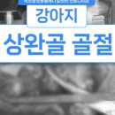 인제메디컬센터 이미지