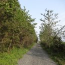 종달바당 이미지