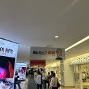 한국 미쯔이 서울센타 | 2025 서울국제도서전 예매 꿀팁 및 역대급 구경 후기!