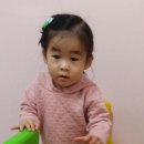 꽃향