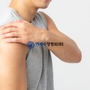 새연세정형외과의원 이미지