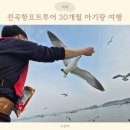 30개월 아기와 떠난 서해힐링 전곡항요트투어 후기