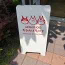 루피쉬스튜디오 이미지