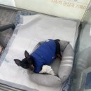 영도동물병원 이미지