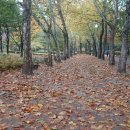 메모나게임즈 이미지