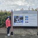 장승포시외버스터미널 이미지