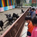 풀내음농장 이미지