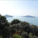 해상굴비