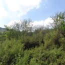 광진리경로당 이미지