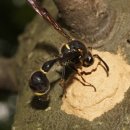 민벌공원 이미지