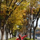 투썸플레이스 앞 횡단보도 이미지