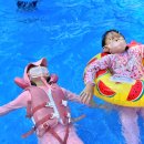 율이네농장 | 울산 아이와 가 볼만한 곳- 율이네 새우농장, 울산 새우잡기체험, 율이네 새우농장 이용 솔직후기