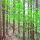 서울신학대학교 이미지