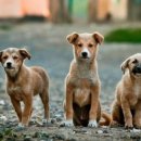 우림부동산중개 이미지