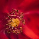 통일스크린 Aca 이미지