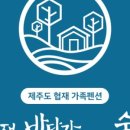 협재바닷가그리고숲속