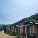 대성설피펜션 네이버블로그