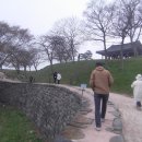 충청수영성 Daum카페