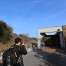 밀크인제주 이미지