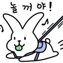 메가마트옆길 이미지