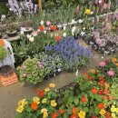 자양꽃직매장 이미지