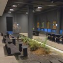 용두길 | 대구 이색체험 카페 밀림, 데이트로도 추천