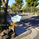 몽그레 | 제주 여행 선물 제주도 공항 근처 디저트 간식 선물샵 몽그레