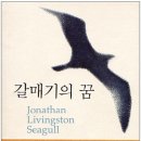 갈매기의꿈