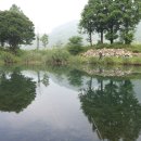 솔치송어파티 이미지