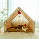 보리하우스 | 고양이 숨숨집 코코하우스 아늑한 공간이 인상적인 강아지 텐트