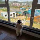 지에스(GS)25 세종으뜸점 | 아기랑 갈만한 곳 / 숙소] 마당, 테라스, 온돌방이 있는 대부도펜션 스테이어우렁, 돌아기랑 방문 후기